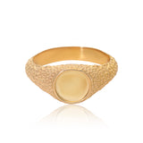 Animus XXVI:XI Signet Ring - The Jewelz