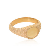 Animus XXVI:XI Signet Ring - The Jewelz