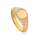 Animus XXVI:XI Signet Ring - The Jewelz