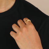 Animus XXVI:XI Signet Ring - The Jewelz