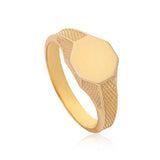 Animus XV:XXI Signet Ring - The Jewelz