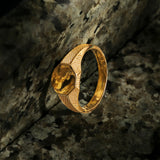 Animus XV:XXI Signet Ring - The Jewelz 