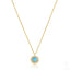 The_Jewelz-14K_Gold-Turquoise_Winter_Necklace-Necklace-AN0428-A.jpg