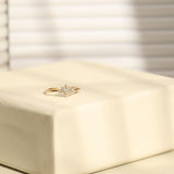 Valentine-AR1059-TJ