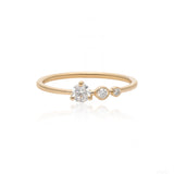 Descending Diamond Regular Ring