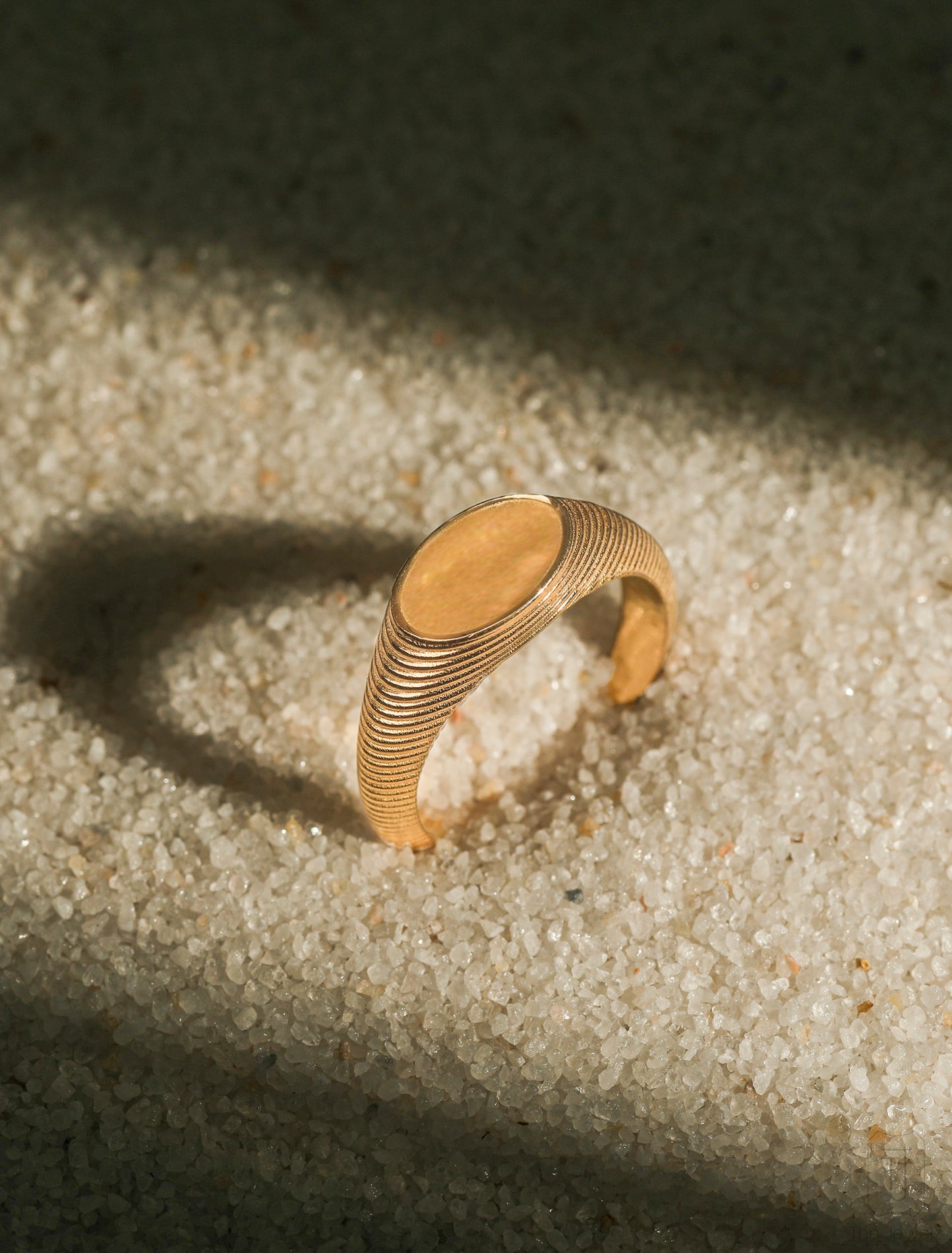 Animus I:XXVIII Signet Ring - The Jewelz 