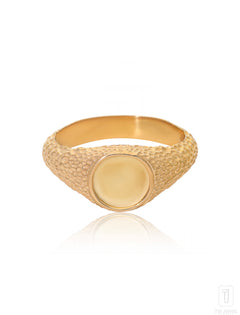 Animus XXVI:XI Signet Ring - The Jewelz 