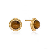Singularity Studs