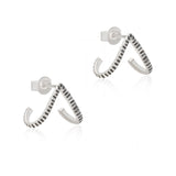 Lunar Glint Silver Silver Earrings