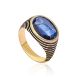 Kyanite Shadow 925 Silver Ring