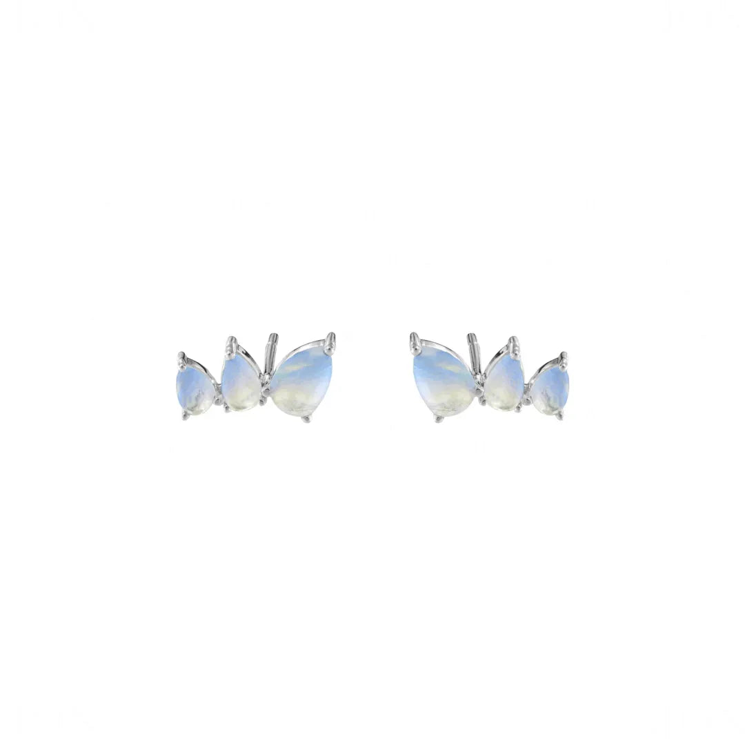 Pear Moonstone Studs