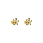 Daisy Studs