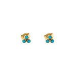 Turquoise Studs