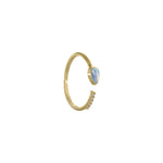 Cynthia Ring
