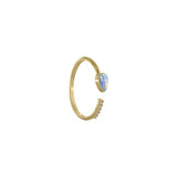 Cynthia Ring