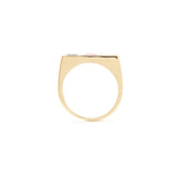 Horizontal Signet Ring|Diamond, Pink n Blue Sapphire