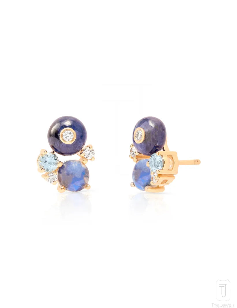 The_Jewelz_14K_Gold_Nightbloom_Phoebe_Studs_AENB05_A