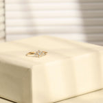 Valentine-AR1059-TJ